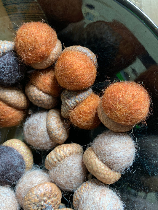 Felted acorns set of 24
